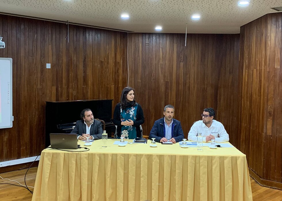 Conselho desporto mirandela 1 980 700