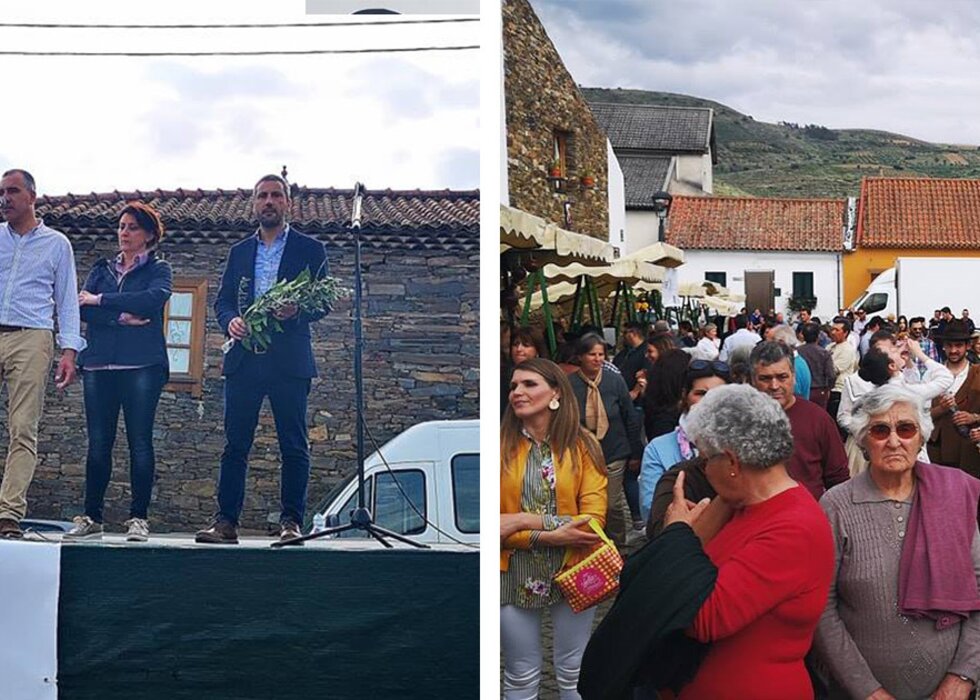 Frechas ramos mirandela 1 980 700