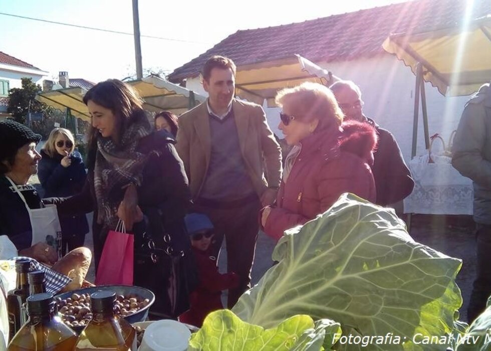 Couve penca 1 980 700